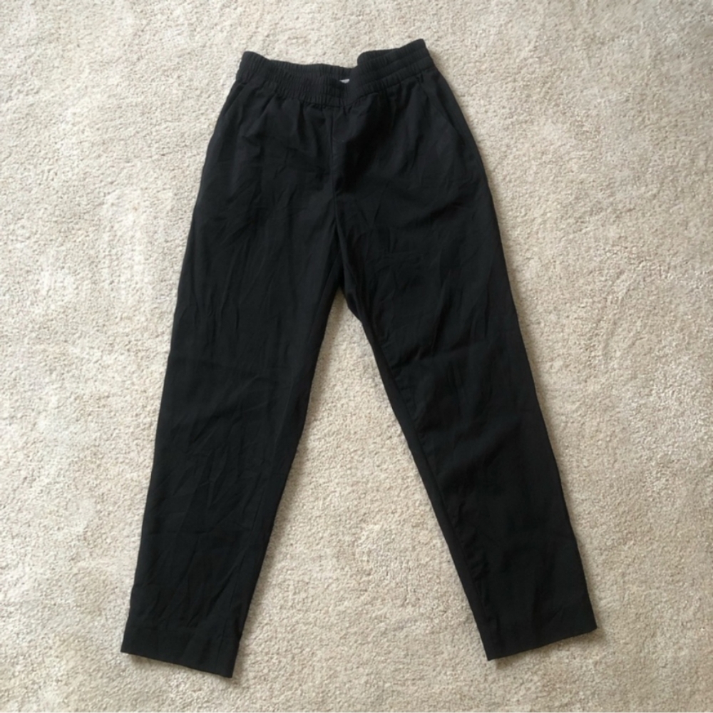Everlane 100% Wool Pants
